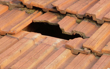 roof repair Cam, Gloucestershire